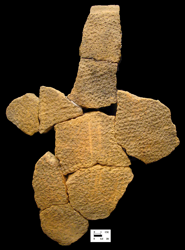 Popes Creek net-impressed mended vessel fragments from the Hamilton Collection, site 18CH58.